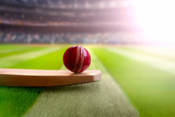 Spin-Friendly Pitches and IPL Betting Strategies