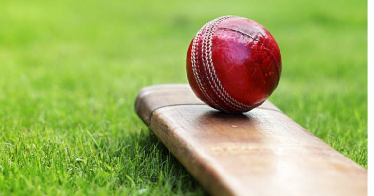 Is Gamewin365 Betting a Good Choice for Cricket Betting In February 2025?